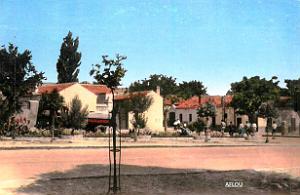 Aflou 705